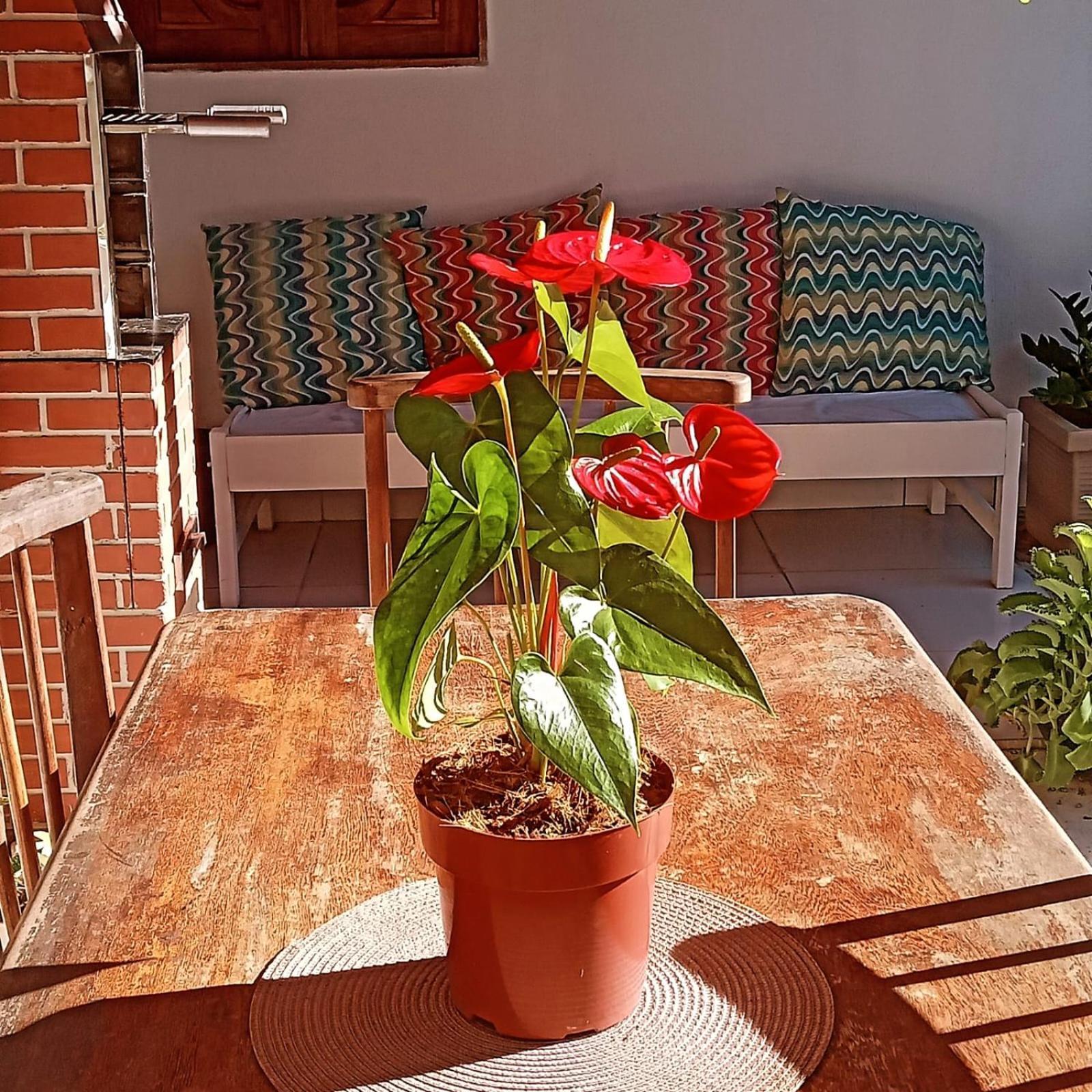 Frances Flats Marechal Deodoro